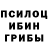 Псилоцибиновые грибы прущие грибы Steve Oranges