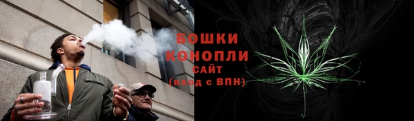 тгк Богданович