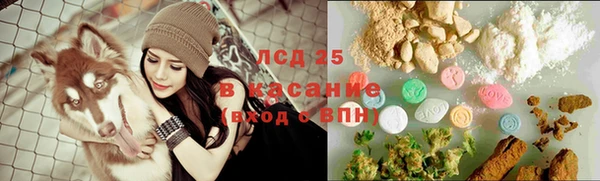 сатива Елабуга