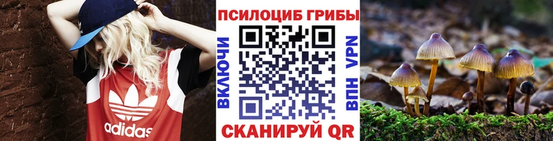 Галлюциногенные грибы Psilocybine cubensis  ОМГ ОМГ tor  Кировград 
